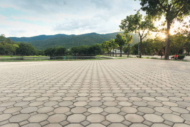 Best Professional Driveway Pavers  in Canal Winchester, OH